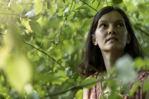 Gehmeditation Silent Sunrise: Das Gesicht einer Frau zwischen grünen Zweigen