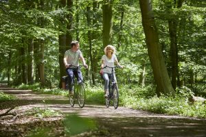 Radtour: Menschen auf Fahrrädern im Wald