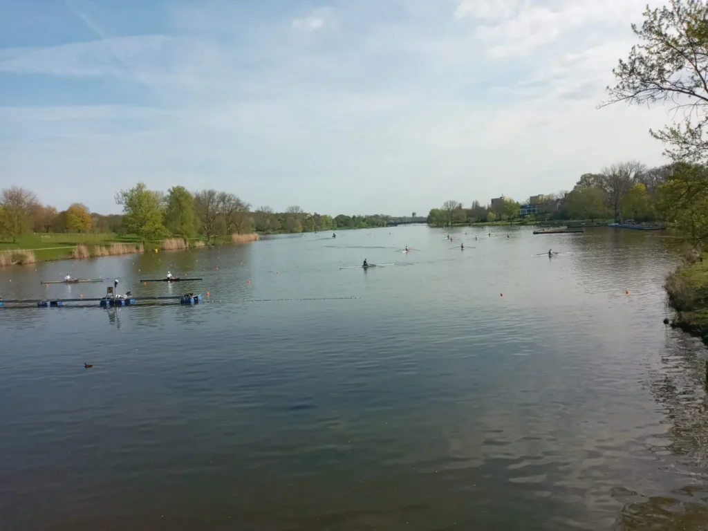 Ruder-Regatta auf dem Aasee